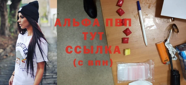прущие грибы Алзамай