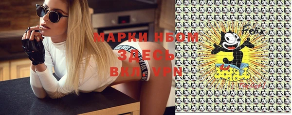 прущие грибы Алзамай