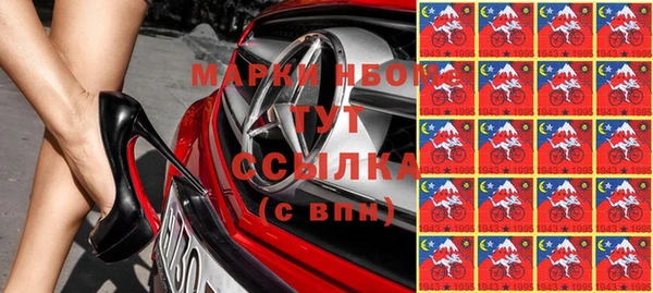 прущие грибы Алзамай