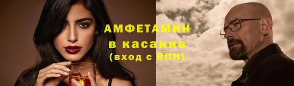 прущие грибы Алзамай