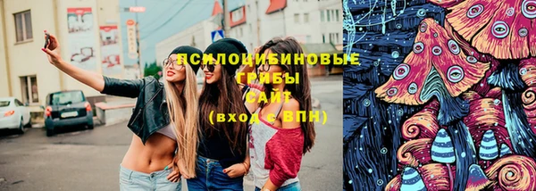 прущие грибы Алзамай
