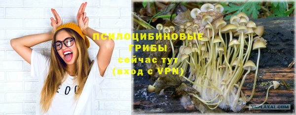 скорость Алексеевка