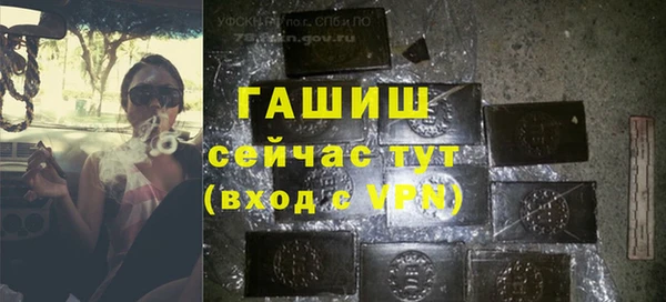 прущие грибы Алзамай