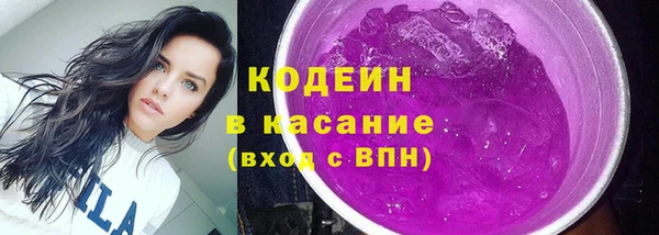 прущие грибы Алзамай