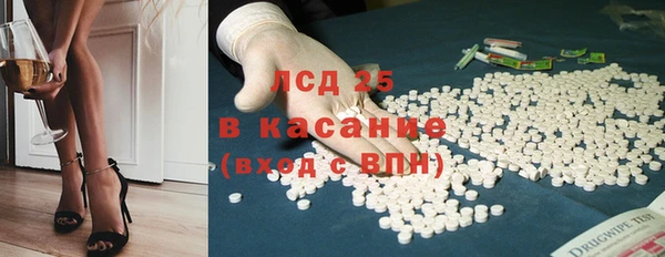прущие грибы Алзамай