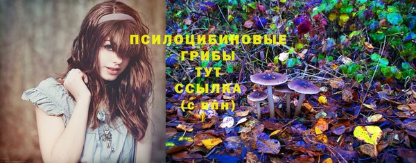 скорость Алексеевка