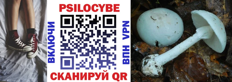 где купить наркоту  omg ONION  Псилоцибиновые грибы прущие грибы  Урюпинск 